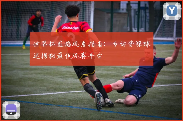 世界杯直播观看指南：专访资深球迷揭秘最佳观赛平台