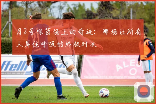 月2号绿茵场上的奇迹:那场让所有人屏住呼吸的终极对决