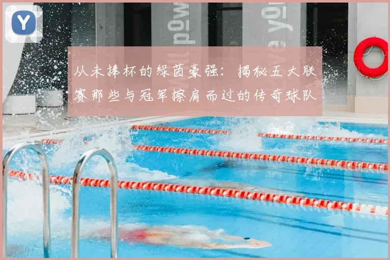 从未捧杯的绿茵豪强:揭秘五大联赛那些与冠军擦肩而过的传奇球队