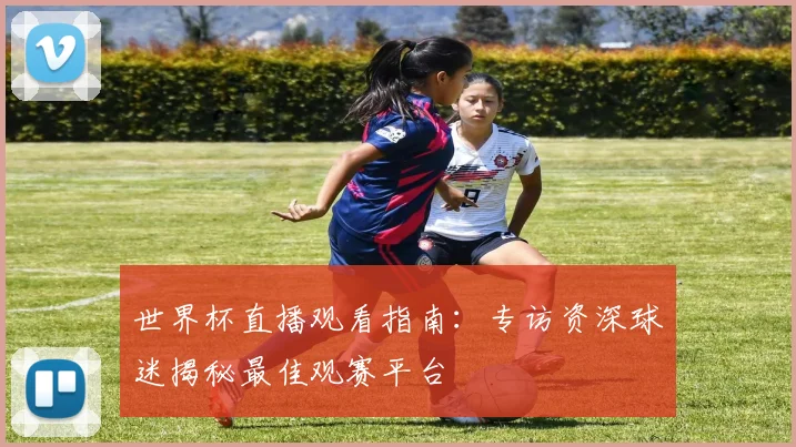 世界杯直播观看指南：专访资深球迷揭秘最佳观赛平台