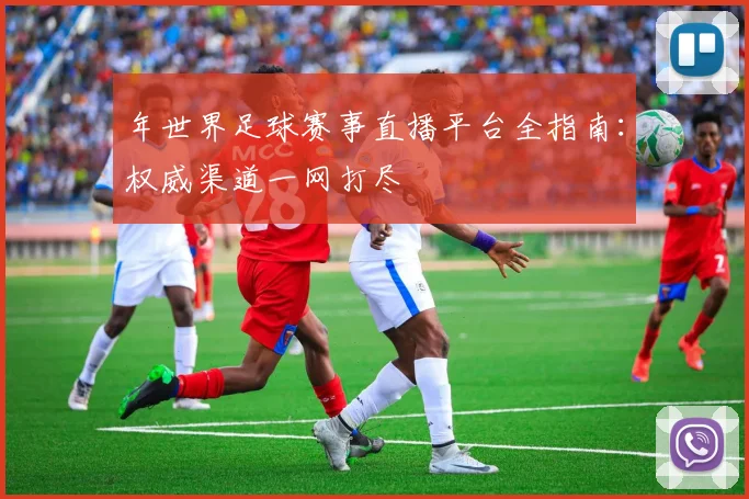 年世界足球赛事直播平台全指南：权威渠道一网打尽